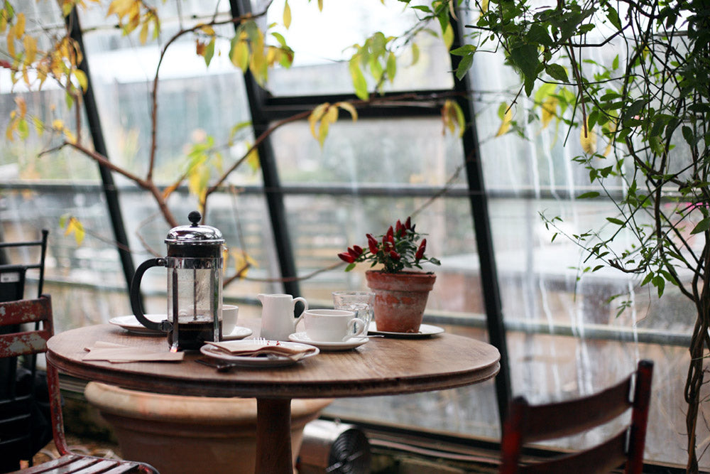 French Press (Plunger) - Brew Guide